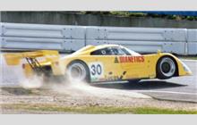 30 - Spice SE90C Ford #008 - GP Motorsport