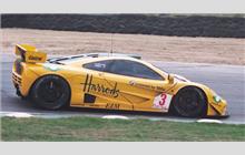 3 - McLaren F1 GTR #06R - Harrods Racing