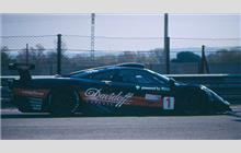 1 - McLaren F1 GTR #22R - Davidoff Classics