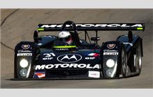 31 - Cadillac Northstar LMP #LMP-00-005 (Riley & Scott) - Motorola-DAMS