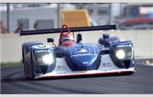 Modellino Auto Spark 1/43 Dallara LMP Judd Rollcentre #6 Le Mans 2004