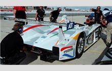 38 - Audi R8 #505 (Dallara) - Champion Racing
