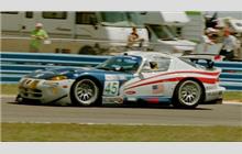 45 - Dodge Viper GTS-R #C33 - American Viperacing