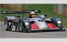 10 - Panoz LMP 01 #008 (Reynard) - JML Team Panoz