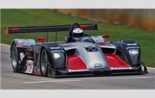 11 - Panoz LMP 01 #005 (Reynard) - JML Team Panoz