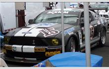 15 - Ford Mustang Cobra GT #CR-003 (Crawford) - Blackforest Motorsports