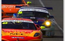 38 - Porsche 996 GT3-RSR - RDS Wall Racing/World of Learn