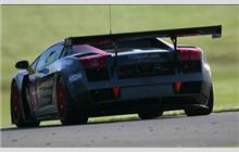 11 - Lamborghini Gallardo GT3 (Reiter) - Team Modena