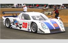 09 - Coyote FDSC Porsche #FDSC/03-002 (Fabcar) - Spirit of Daytona Racing