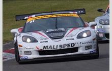 31 - Chevrolet Corvette Z06R GT3 #1G1YY26Y165100083 (Callaway) - MM Racing