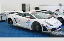 14 - Lamborghini Gallardo GT3 (Reiter) - S-Berg Racing Team
