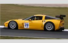 28 - Chevrolet Corvette Z06R GT3 #1G1YY25Y965100107 (Callaway) - Marc Sourd Racing