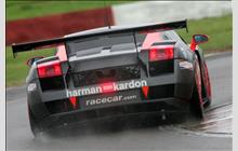 21 - Lamborghini Gallardo GT3 (Reiter) - Team Modena