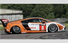8 - Lamborghini Gallardo GT3 (Reiter) - Tech 9