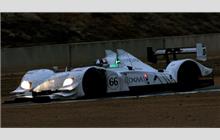 66 - Acura ARX-02a #1 (Wirth Research) - de Ferran Motorsports