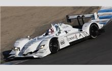 66 - Acura ARX-02a #1 (Wirth Research) - de Ferran Motorsports