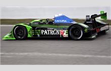 9 - Acura ARX-02a #2 (Wirth Research) - Patrón Highcroft Racing