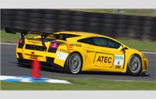 4 - Lamborghini Gallardo GT3 #ZHWGE12N87LA05142 (Reiter) - Argo Racing
