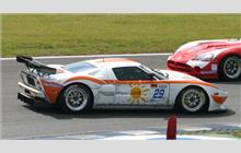 29 - Ford GT #MR08FORDGT3SN009 (Matech) - Fischer Racing