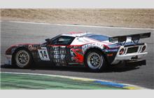 14 - Ford GT #MR08FORDGT3SN008 (Matech) - Fischer Racing