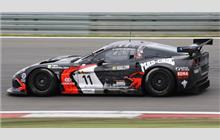 11 - Chevrolet Corvette C6.R Z06 #002 (Pratt & Miller) - Mad-Croc Racing