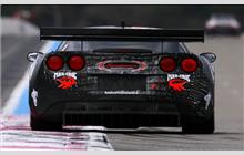 12 - Chevrolet Corvette C6.R #006 (Pratt & Miller) - Mad Croc Racing