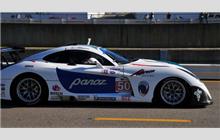 50 - Panoz Abruzzi #2UGLEE4... - Panoz Team