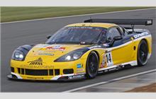 14 - Chevrolet Corvette C6.R Z06 #005 (Pratt & Miller) - Phoenix Racing / Carsport