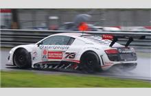 73 - Audi R8 LMS #AS42A0FGT310 0207 - W Racing Team