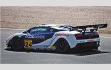 24 - Lamborghini Gallardo LP600 GT3 (Reiter) - Goodsense Racing Team