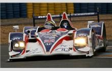 36 - HPD ARX-01d #8 (Courage) - RML