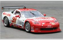 31 - Chevrolet Corvette (Chevrolet) - Marsh Racing