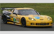 4 - Chevrolet Corvette ZR1 #C6GT-004 (Pratt & Miller) - Corvette Racing