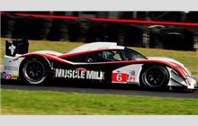 6 - Lola B08/62 Aston Martin #B0960-HU01S (DBR1-2/2) - Muscle Milk Aston Martin Racing