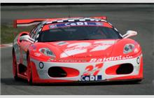 27 - Ferrari F430 GT Cup - Scuderia 27 Baldini Mode