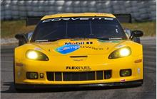 4 - Chevrolet Corvette ZR1 #C6GT-004 (Pratt & Miller) - Corvette Racing