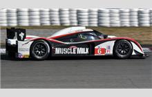6 - Lola B08/62 Aston Martin #B0960-HU01S (DBR1-2/2) - Muscle Milk Aston Martin Racing