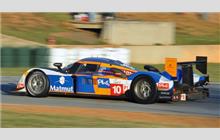 10 - Peugeot 908 HDi-FAP #10 - Team Oreca Matmut