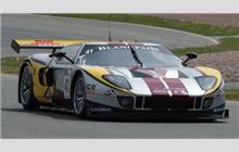 41 - Ford GT Matech (Matech) - Marc VDS Racing Team