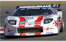 14 - Ford GT #MR08FORDGT3SN008 (Matech) - Fischer Racing