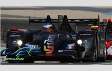 26 - Oreca 03 Nissan #5 - Signatech Nissan