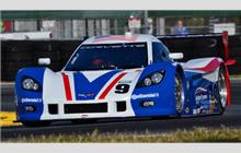 9 - Chevrolet Corvette DP #CPM-GM002 (Coyote) - Action Express Racing