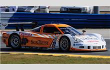 10 - Chevrolet Corvette DP #DP01-003 (Dallara) - SunTrust Racing