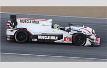 6 - HPD ARX-03a Honda #04 - Muscle Milk Pickett Racing