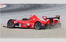 18 - Oreca FLM 09 #4 - Performance Tech Motorsports