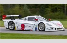 9 - Chevrolet Corvette DP #CPM-GM002 (Coyote) - Action Express Racing