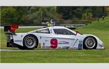 9 - Chevrolet Corvette DP #CPM-GM002 (Coyote) - Action Express Racing