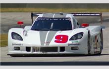 9 - Chevrolet Corvette DP #CPM-GM002 (Coyote) - Action Express Racing