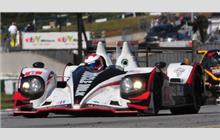 6 - HPD ARX-03a Honda #04 - Muscle Milk Pickett Racing