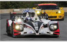 6 - HPD ARX-03a Honda #04 - Muscle Milk Pickett Racing